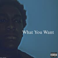 What You Want