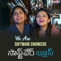 We Are Software Engineers