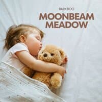 Moonbeam Meadow: Baby Lullaby