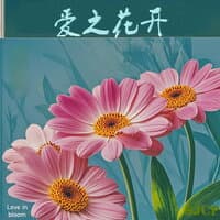 爱之花开