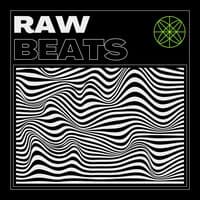 Raw Beats: Instrumental Type Rap Beats