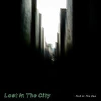 Lost in the City