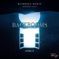 BACKROOMS LEVEL 3