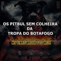 Os Pitbul Sem Colheira da Tropa do Botafogo