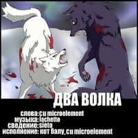 Два волка