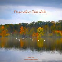 Promenade at Swan Lake (Piano Solo)