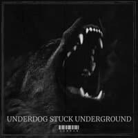 Underdog Stuck Underground