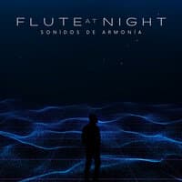 Flute At Night