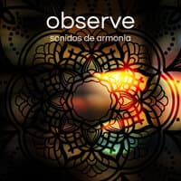 Observe