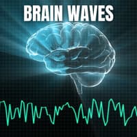 Brain Waves