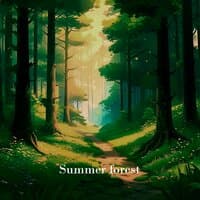 Summer forest