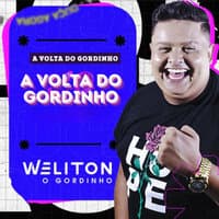 A Volta do Gordinho