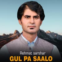 Gul Pa Saalo