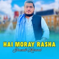 Hai Moray Rasha