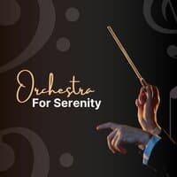 Orchestra For Serenity