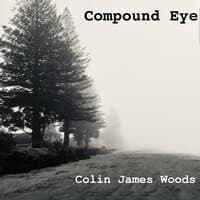 Colin James Woods