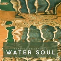 Water Soul, Vol. 1