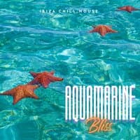 Aquamarine Bliss: Deep House Lounge