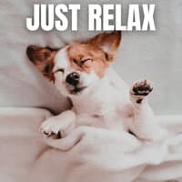 Just Relax