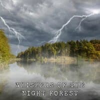 Whispers of the Night Forest