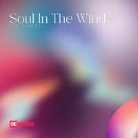 Soul In The Wind