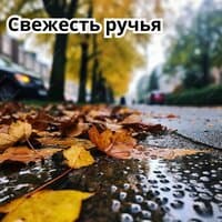 Осенний дождь