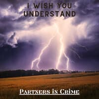 I Wish You Understand