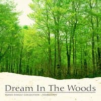 Dream in the woods