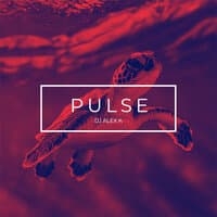 Pulse