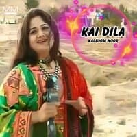 Kai Dila