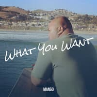 What You Want