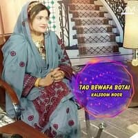 Tao Bewafa Botai