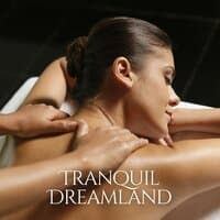 Tranquil Dreamland: Ambient Massage Music