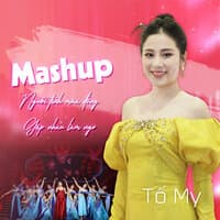 Mashup Người tình mùa đông - Gặp nhau làm ngơ