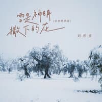 雪是神明撒下的花