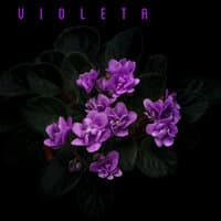 Violeta