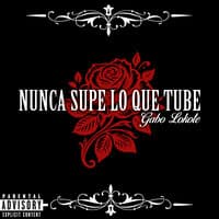 Nunca Supe Lo Que Tube