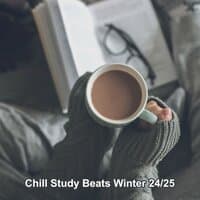 Chill Study Beats Winter 24/25