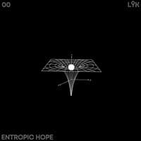 ENTROPIC HOPE