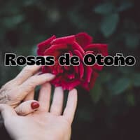 Rosas de Otoño