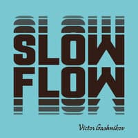 Slow Flow