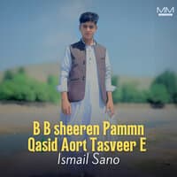 B B sheeren Pammn Qasid Aort Tasveer E