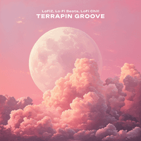 Terrapin Groove