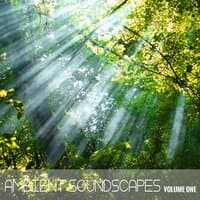 Ambient SoundScapes, Vol. 1