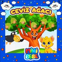 Ceviz Ağacı