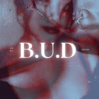 B.U.D