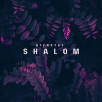 Shalom