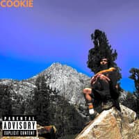 Cookie