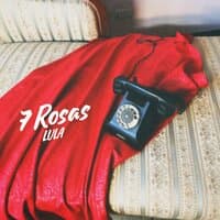 7 Rosas