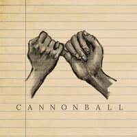 Cannon ball